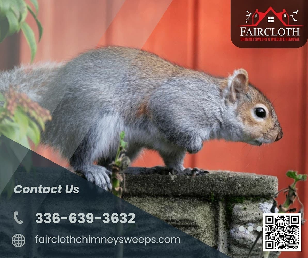 Google street view image of Faircloth Chimney Sweeps and Wildlife Removal LLC