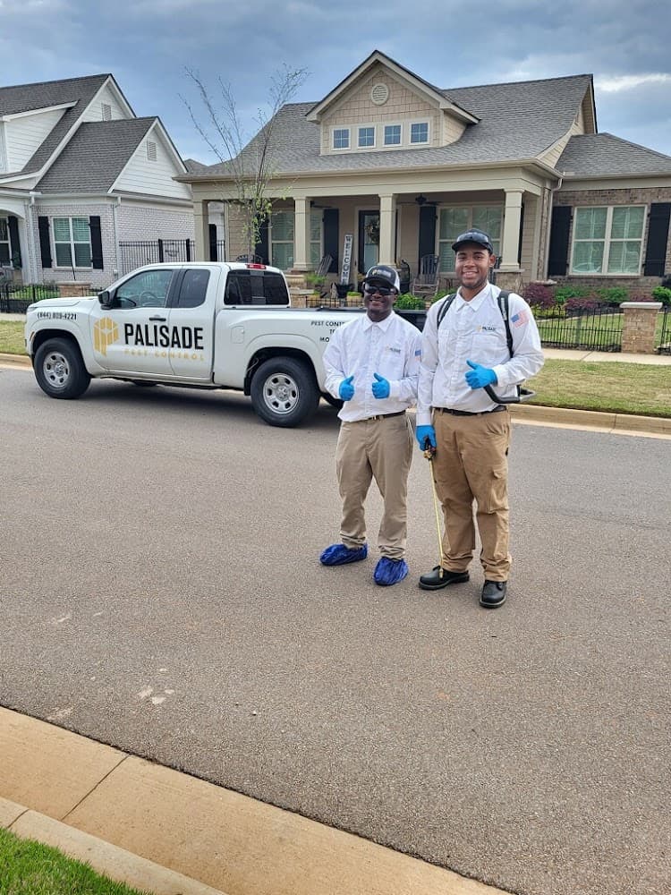 Google street view image of Palisade Pest Control