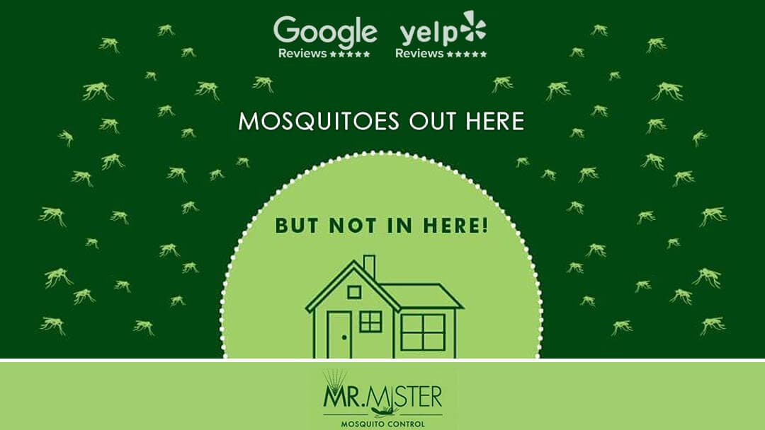 Google street view image of Mr. Mister Mosquito Control