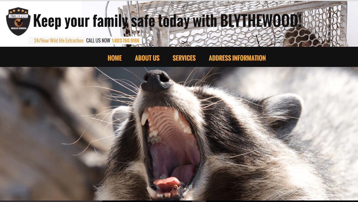 Google street view image of Blythewood Wildlife Removal, Lexington