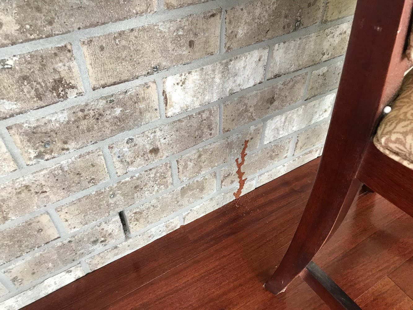 Google street view image of A Plus Pest Control