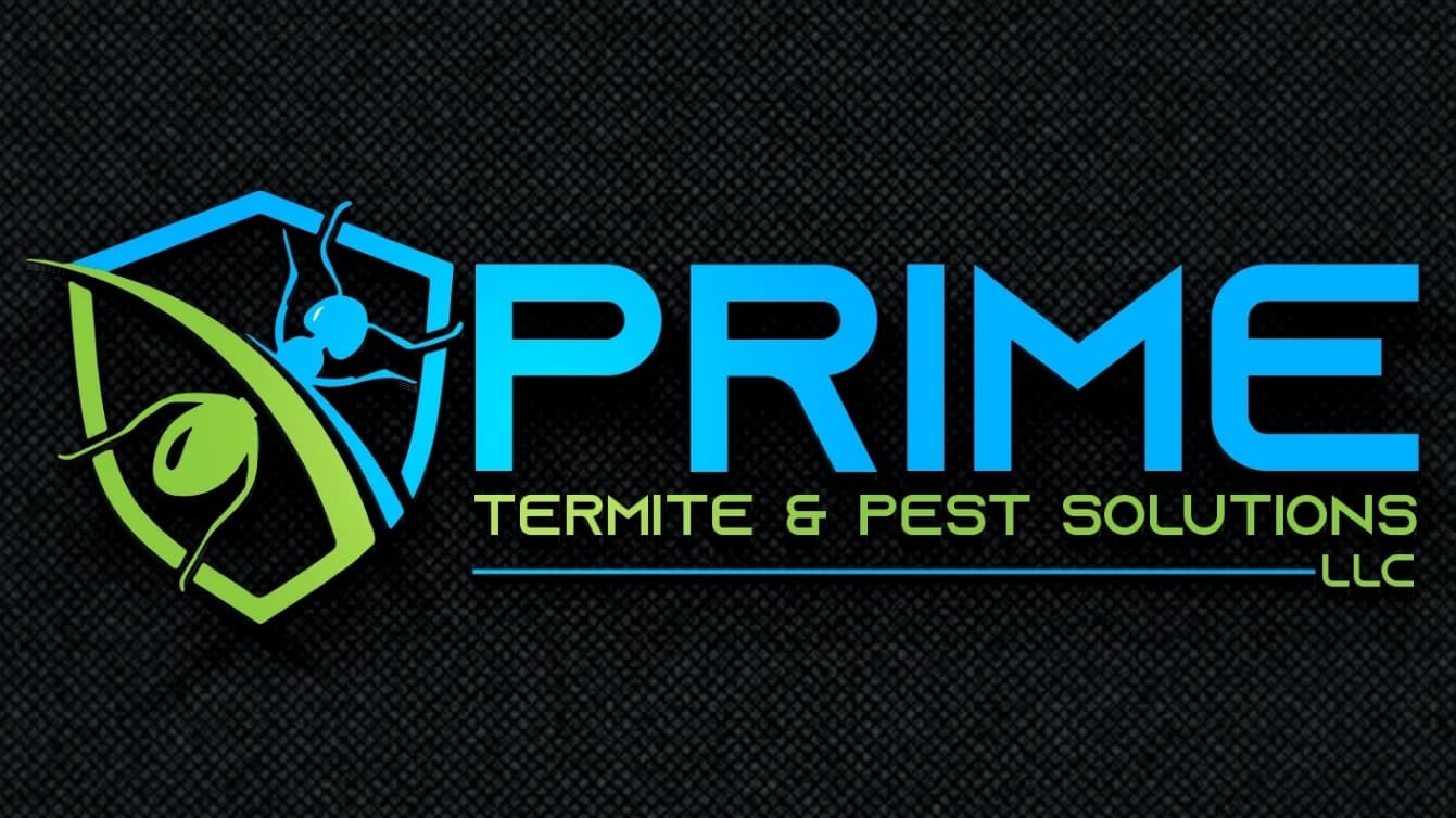Google street view image of Prime Termite & Pest Solutions, LLC