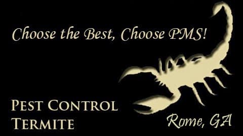 Google street view image of Pest Management Services LLC - Rome Pest Control