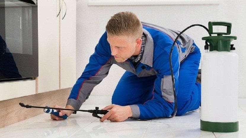 Google street view image of Wilkey Services Pest Management