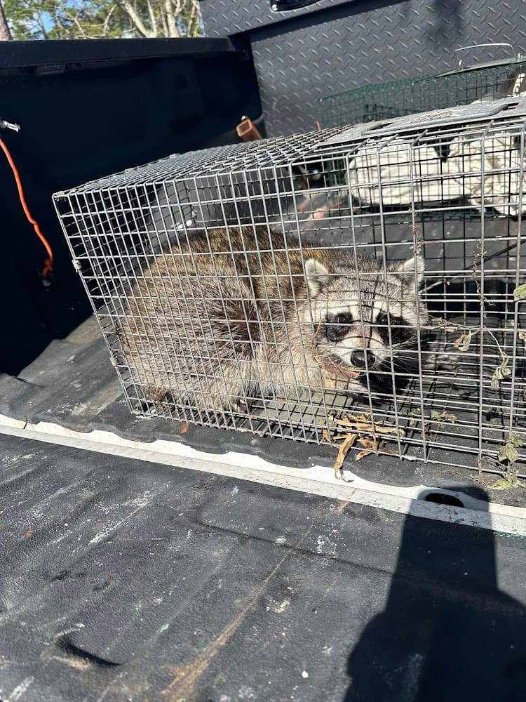 Google street view image of Trapper Joe