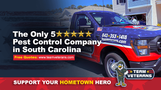 Google street view image of Team Veterans Pest Control