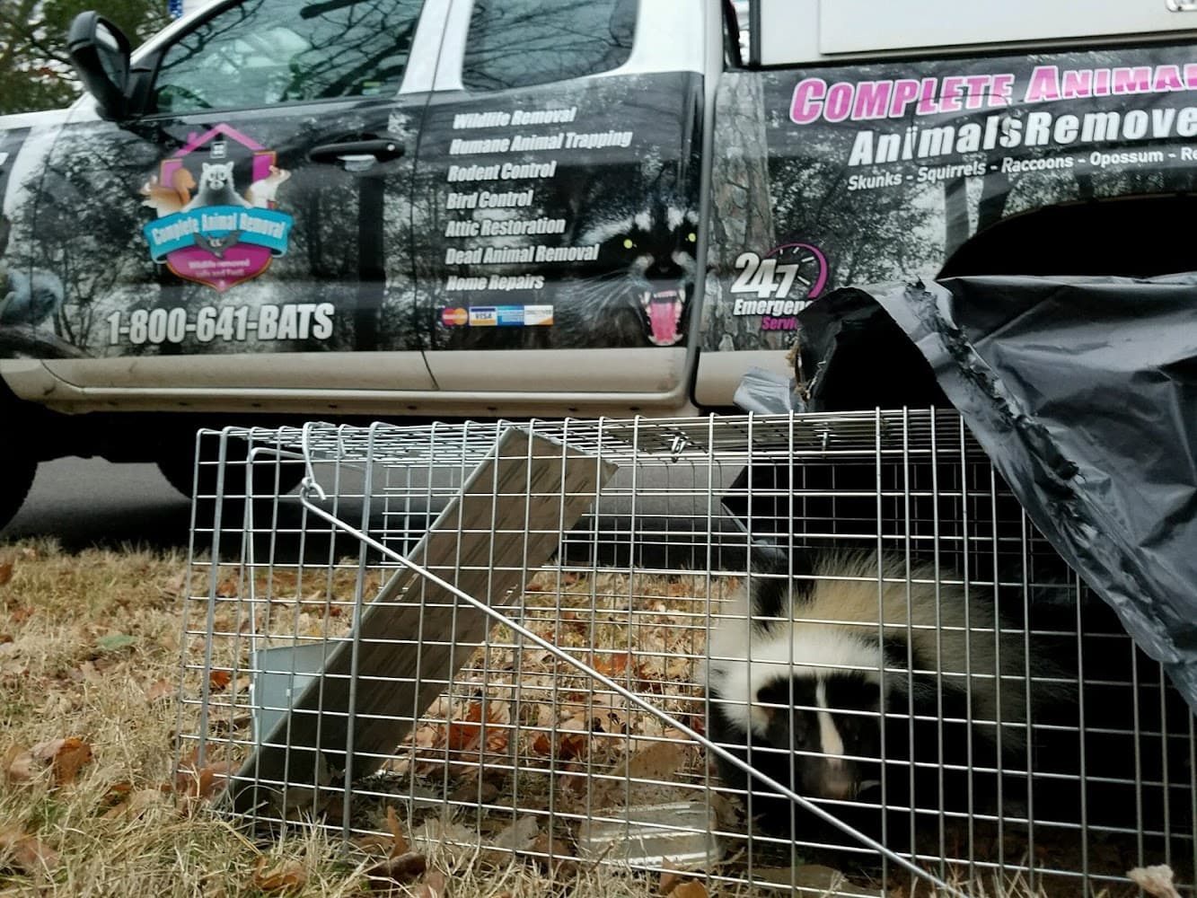Google street view image of Complete Animal Removal
