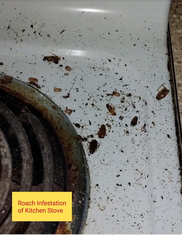 Google street view image of Pest-X Exterminating