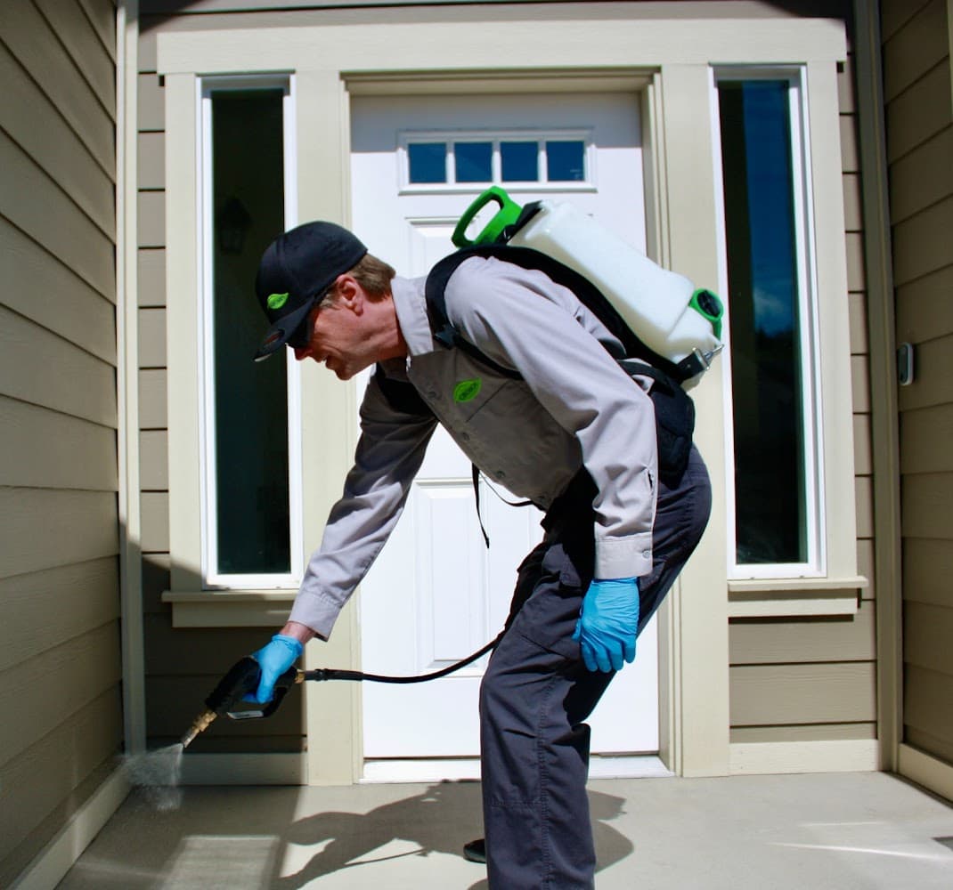 Google street view image of Croach Pest Control