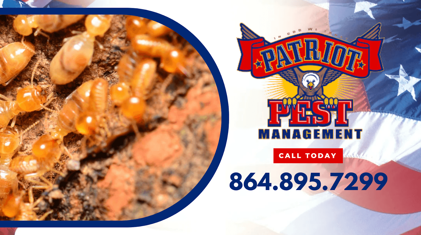 Google street view image of Patriot Pest Management