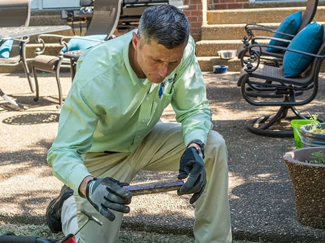Google street view image of All-American Pest Control