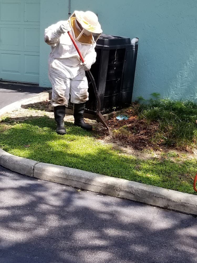 Google street view image of Bug's Bee-Ware Exterminating
