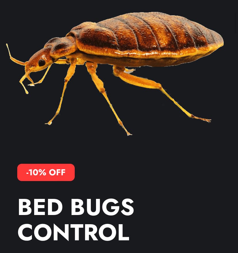 Google street view image of Avast Pest Control