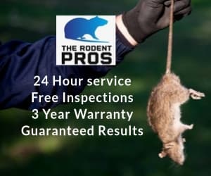 Google street view image of The Rodent Pros