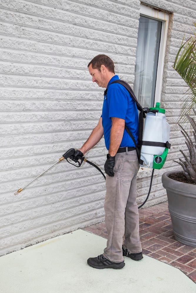 Google street view image of Beach Pest Service