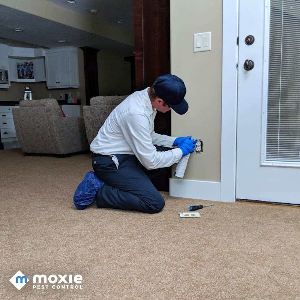 Google street view image of Moxie Pest Control