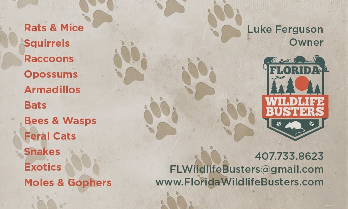 Google street view image of Florida Wildlife Busters, LLC